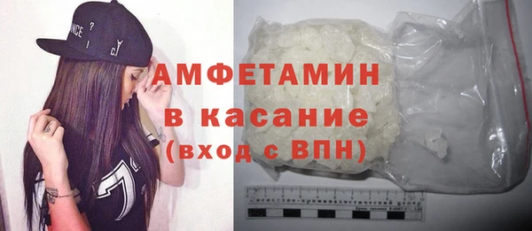 шишки Аркадак
