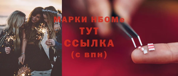 шишки Аркадак