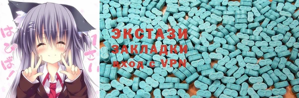 шишки Аркадак