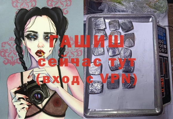 шишки Аркадак