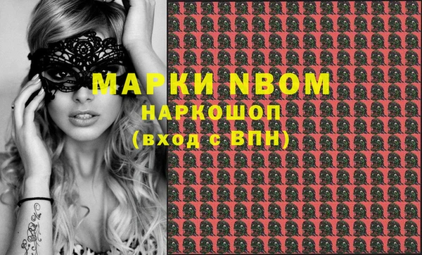 шишки Аркадак