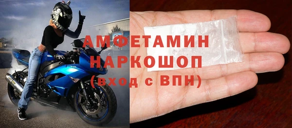 шишки Аркадак