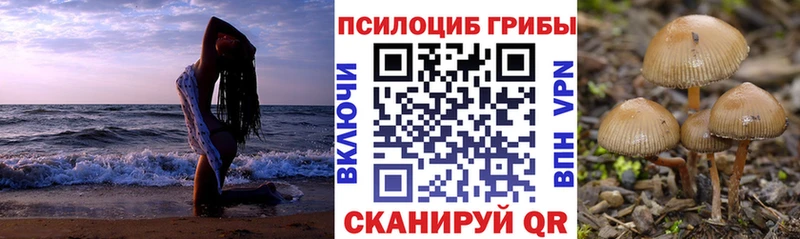 маркетплейс формула  Покровск  Галлюциногенные грибы ЛСД 