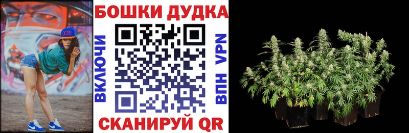 магазин продажи наркотиков Покровск Канабис марихуана