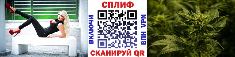 МАРИХУАНА конопля Покровск